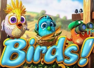 Красочные птицы Birds